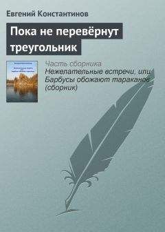 Евгений Константинов - Пока не перевёрнут треугольник