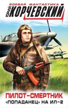 Литагент «Яуза» - Пилот-смертник. «Попаданец» на Ил-2